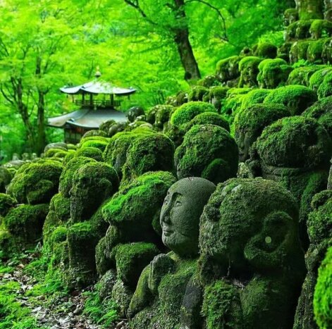 Arashiyama Hidden Gems & Traditional Tea Ceremony Experience by Public Transport