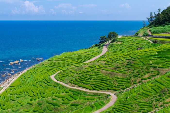 Cycle past the spectacular rural and coastal landscapes of the Noto peninsula during this 15-day tour