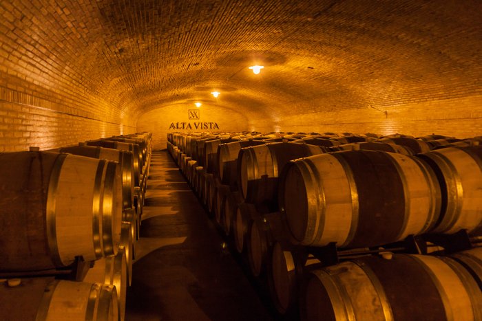 A wine cellar in Chacras de Coria