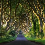 Snap classic pics of Northern Ireland's Dark Hedges, made popular in "Game of Thrones"