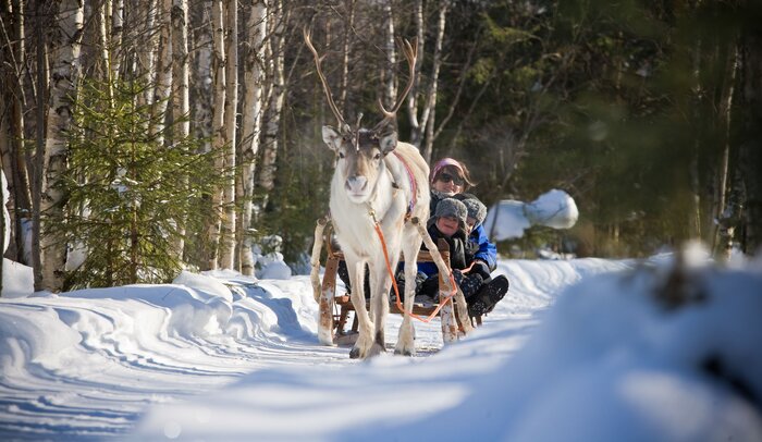 Reindeer Sleigh Ride to Ice Fishing