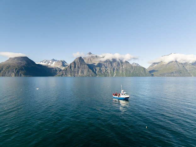 Fjord Cruise - Sightseeing in the Lyngen fjord