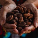 Learn about chocolate's ancient roots on this weeklong exploration of Costa Rica 