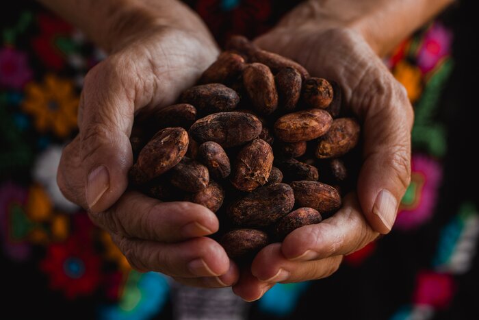 Learn about chocolate's ancient roots on this weeklong exploration of Costa Rica 