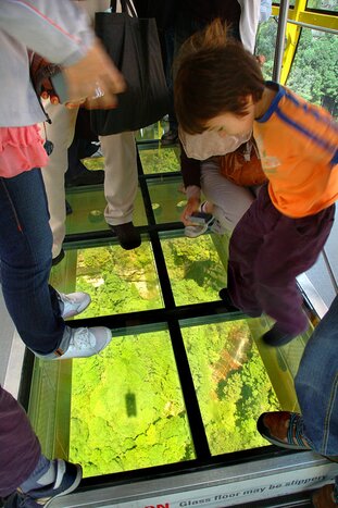 Explore the Blue Mountains - Scenic World