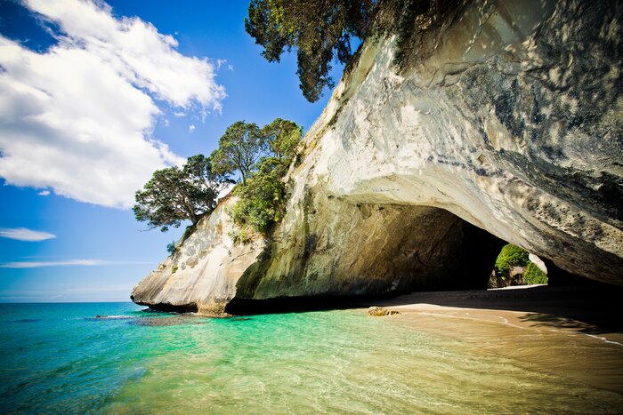  Cathedral Cove & Coromandel Small Group Day Tour from Auckland