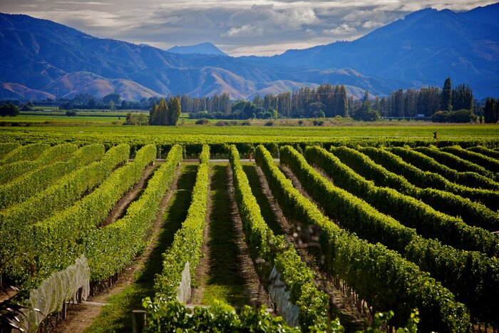 New Zealand in November: Travel Tips, Weather & More