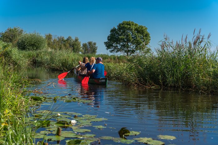 Amsterdam - Explore wetlands by canoe (5hr)