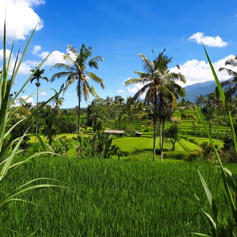 Experience Chocolate Factory