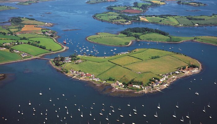 Guided Kayak Tour in Strangford Lough