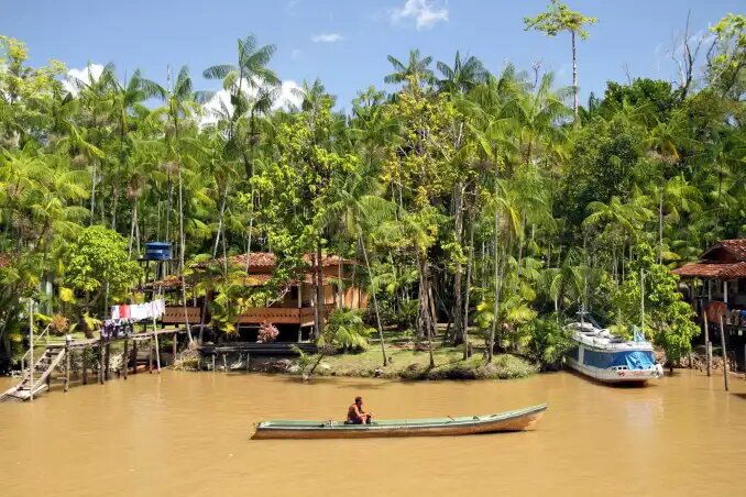 Day 3 at the Turtle Lodge in the Amazon rainforest