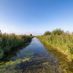 Dutch windmills at Kinderdijk