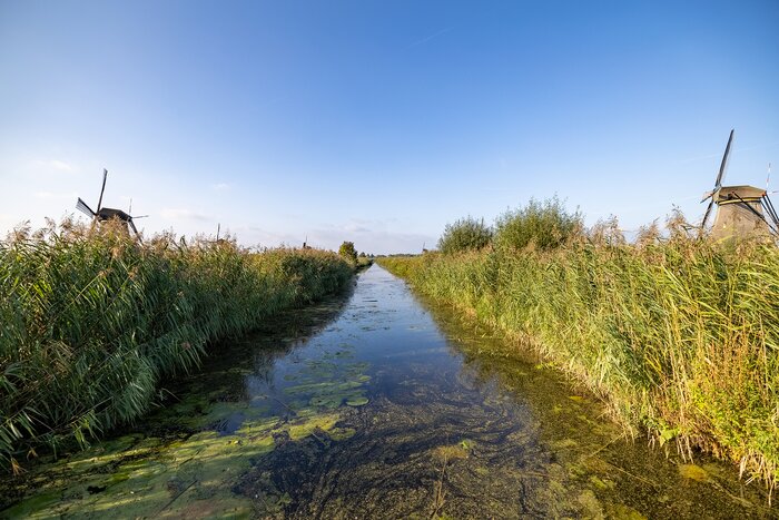 Dutch windmills at Kinderdijk
