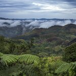 Misty clouds over Fiji during the rainy season