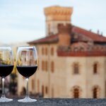 See castles and sip wine in Italy's Barolo