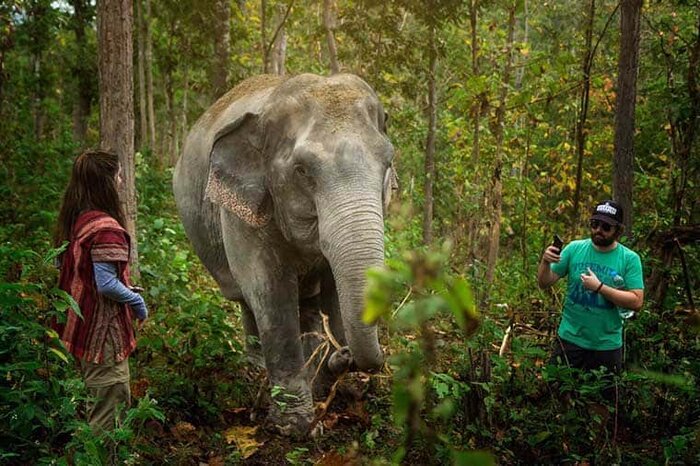 Half Day Morning/Afternoon Visit to Elephant Jungle Sanctuary (Join-in Basis, No Riding)