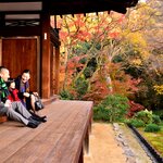 A family sitting at a temple surrounded by autumn leaves