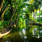 Cruise through the tranquil backwaters of India's Kerala state