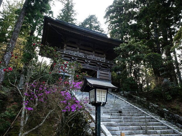 Experience the culture and ancient traditions of the Shikoku Pilgrim trail's many temples