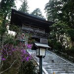 Experience the culture and ancient traditions of the Shikoku Pilgrim trail's many temples