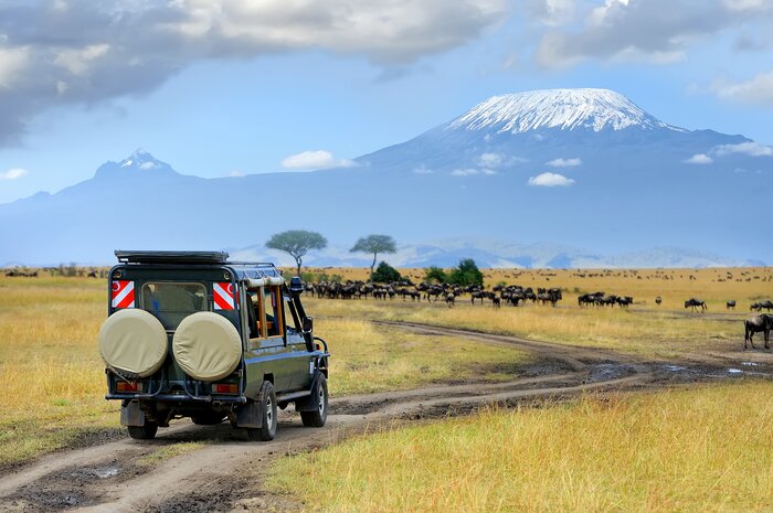 Witness the Big Five on a game drive in Masai Mara Reserve, Kenya