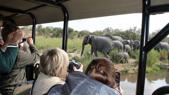Final Morning Game Drive