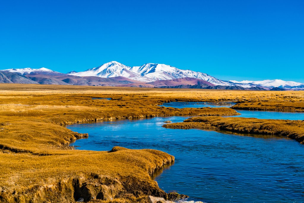 The perpetually snow-covered Tavan Bogd Mountains