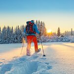 Snowshoe your way across the frozen Yukon wilderness on a Northern Canada adventure to Whitehorse and Yellowknife