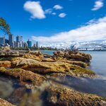 View of Sydney Harbour from the rocks known as Mrs Macquarie's Chair