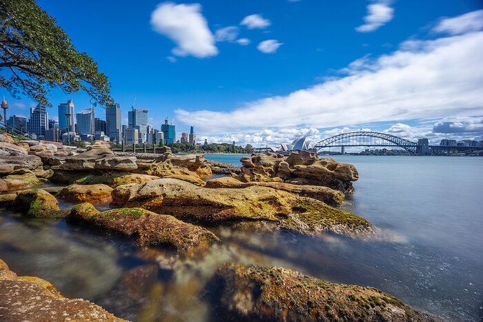 View of Sydney Harbour from the rocks known as Mrs Macquarie's Chair
