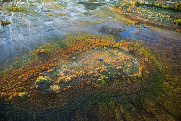 Chobe National Park to Okavango Delta