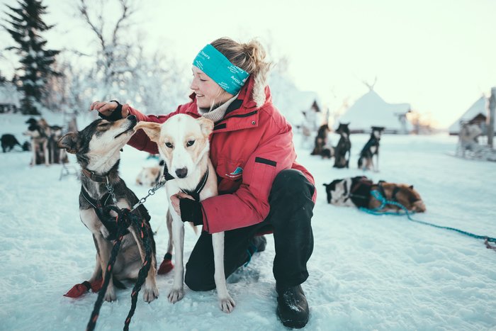 Husky Dog Sledding