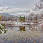 See the sights of South Korea with a lovely blanket of snow during this eight-day winter tour