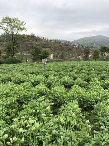 Trek from Ashapuri to Panauti