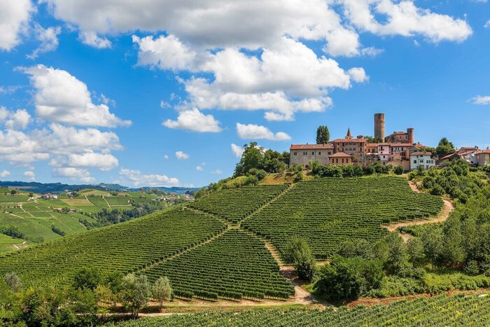 Full day in The Langhe with driver assistance (from Turin)