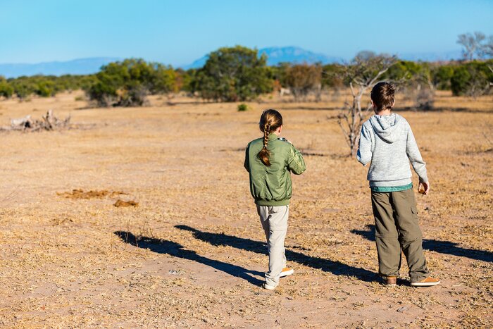 Introduce the kids to the South African bush on Big Game safaris of the wildlife-rich country