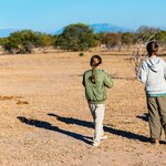 Introduce the kids to the South African bush on Big Game safaris of the wildlife-rich country