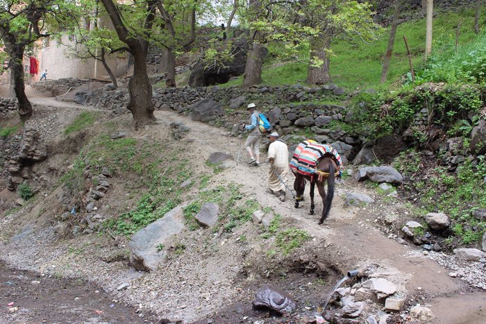 Guided Hike in Imlil Valley & Lunch with a berber Family