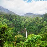 The dramatic La Fortuna Waterfall surrounded by dense rainforest