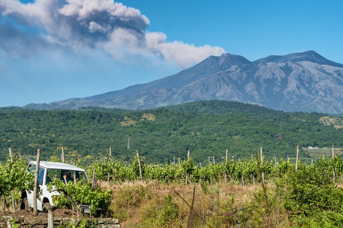 Mount Etna Visit & Wine Tasting Experience 