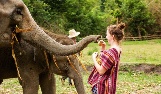 A visit to Elephant Jungle Sanctuary in Phuket
