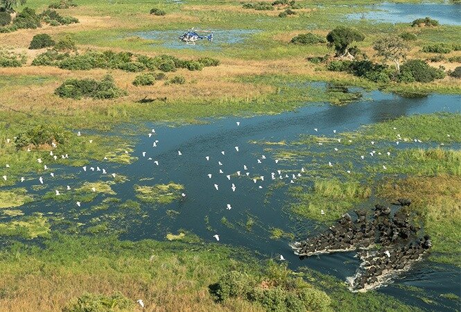 Scenic Helicopter Flight