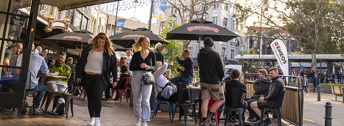 Dunedin City Walking Tour 