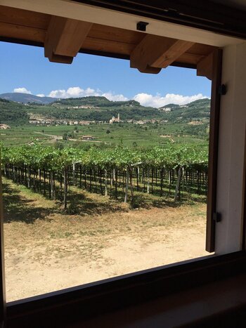 A Taste of Valpolicella: Wine, Scenery, and Local Flavors