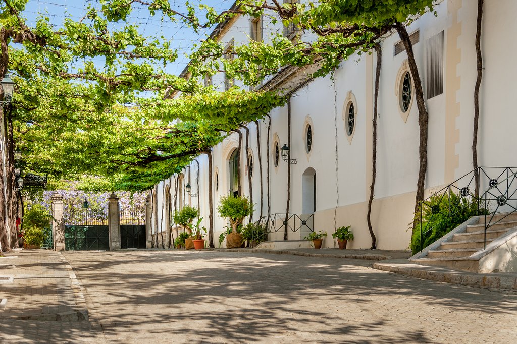 Spain - Jerez - Outside the Tio Pepe Bodega