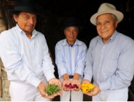 Cultural Treasures of the Andes: Cayambe, Otavalo & Cuicocha