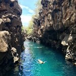 Swim through Los Túneles' natural rock formations as you explore Galápagos