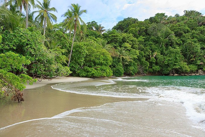 Explore Costa Rica's Manuel Antonio National Park