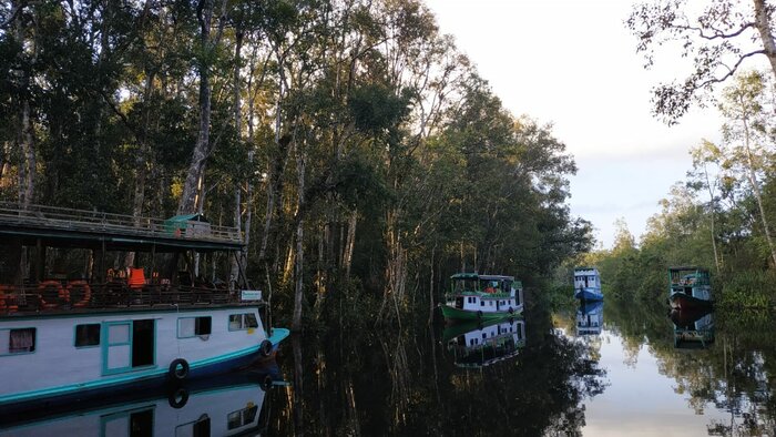 Day 2: Journey into the Heart of Orangutan Research at Camp Leakey.