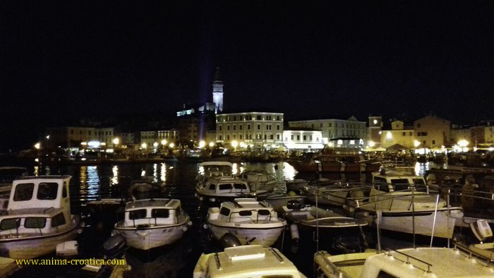  Rovinj and Pula visit 